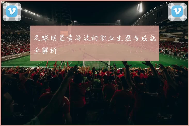 足球明星黄海波的职业生涯与成就全解析